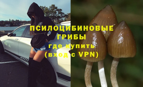 прущие грибы Арсеньев