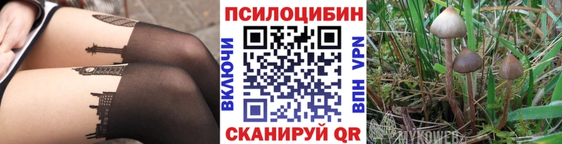 купить закладку  Хотьково  нарко площадка телеграм  Галлюциногенные грибы Cubensis 